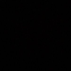 Meet your Posher, Owen